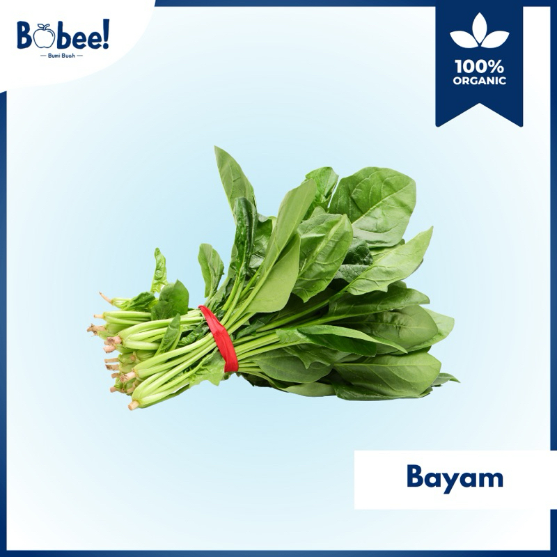 

Bayam Super 1 Ikat Fresh & Premium | Bobee.official - (Instant/Sameday)