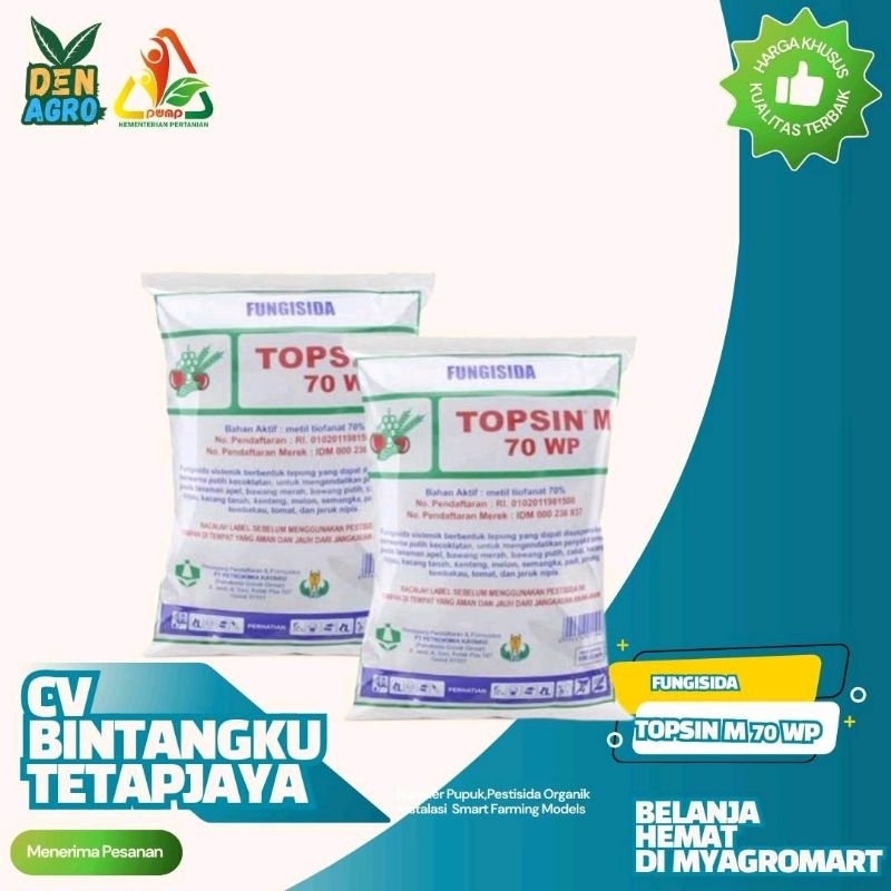 Fungisida Sistemik Topsin 70 WP Untuk Mencegah Penyakit pada Tanaman Cabai