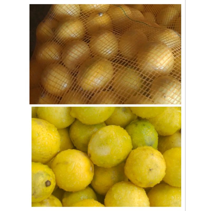 

Paket 2kg mix lemon California lokal grad AB dan C