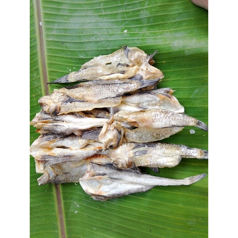 

Ikan Asin kering gabus
