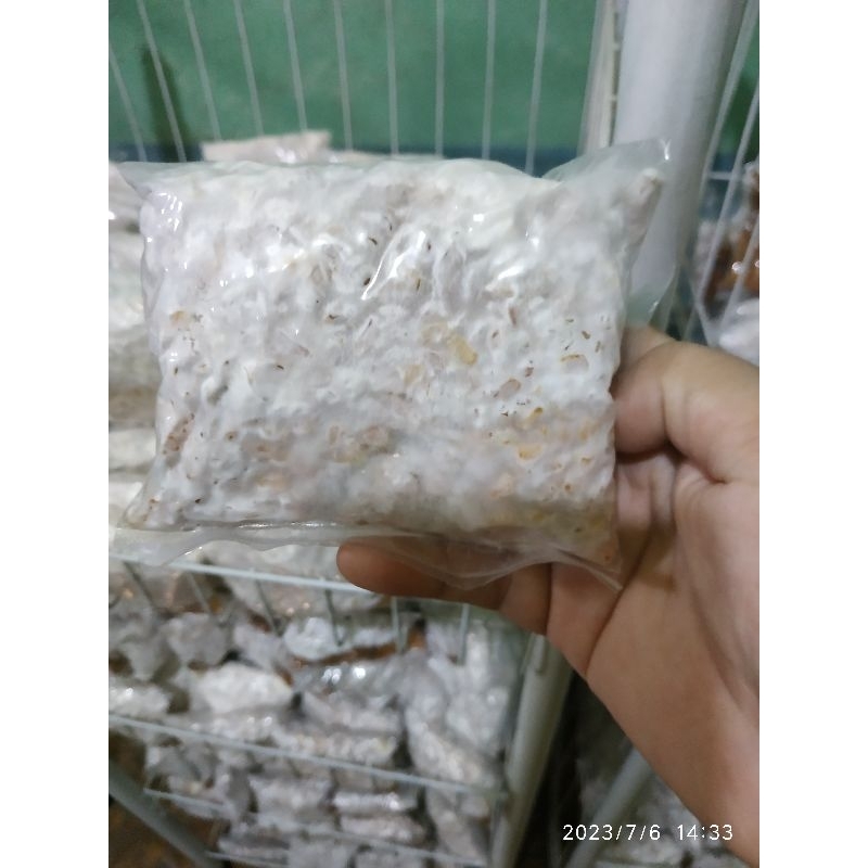 

BIBIT JAMUR MURAH PAKET HEMAT 35 gratis 3