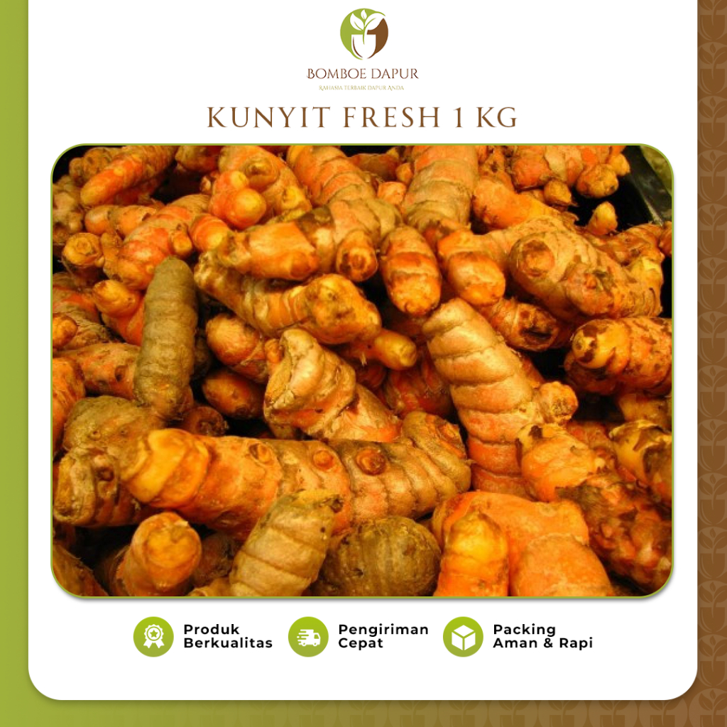 

Kunyit 1kg Kunir Empu Segar Rempah Alami Curcuma Ukuran Campur Fresh
