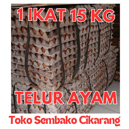 

TELUR AYAM NEGERI 1 IKAT 15 KILO TOKO SEMBAKO CIKARANG