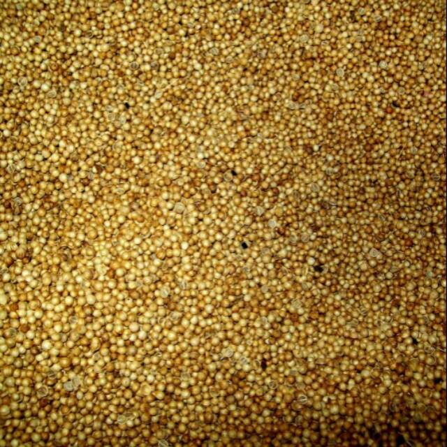 

Ketumbar Bulat 1 Kg