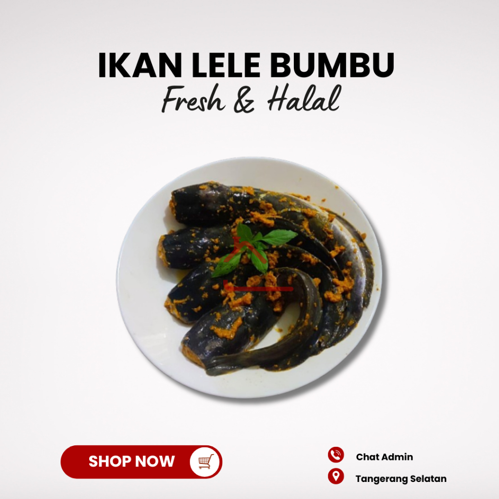 

Ikan Lele Fresh Bumbu Kuning isi 4 Siap Goreng Tangerang Selatan