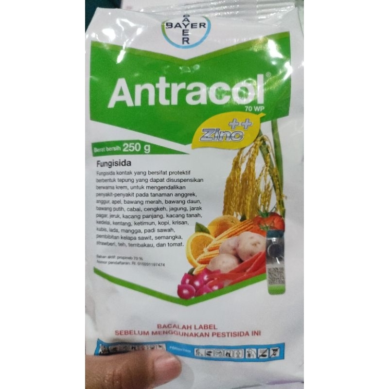 Fungisida Antracol 250 gram