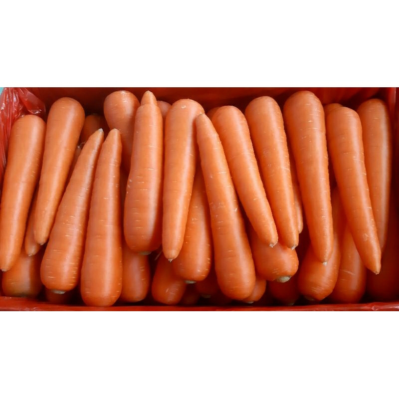 

Wortel Berastagi (250gr)