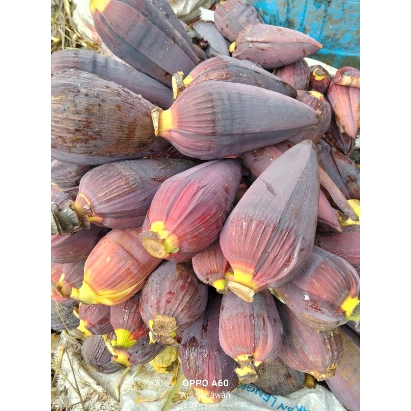 

Jantung Pisang Fresh