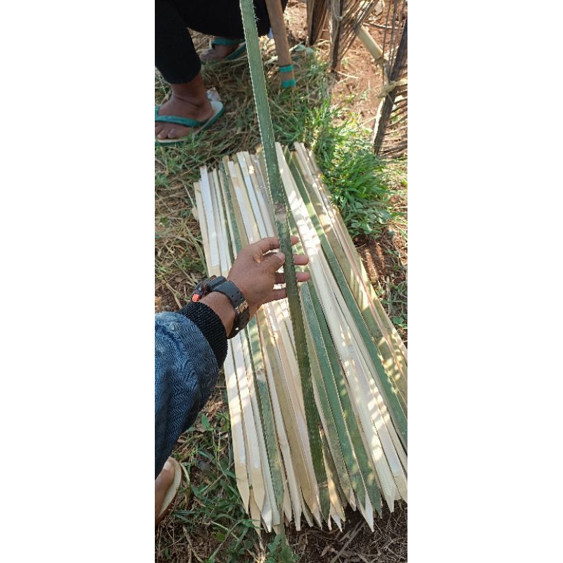 bambu bilah / ajir bambu / penyangga untuk tanaman tomat cabe dan tanaman lainnya