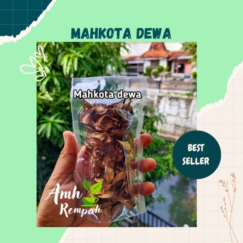 

Mahkota dewa kering kualitas bagus kemasan 100gram