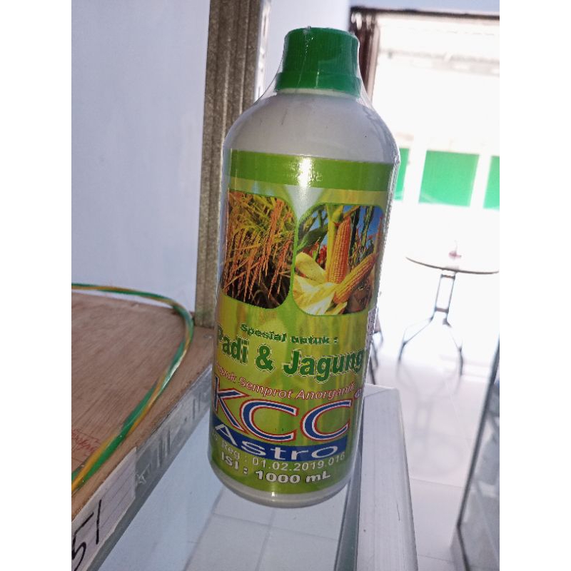 KCC Astro spesial padi