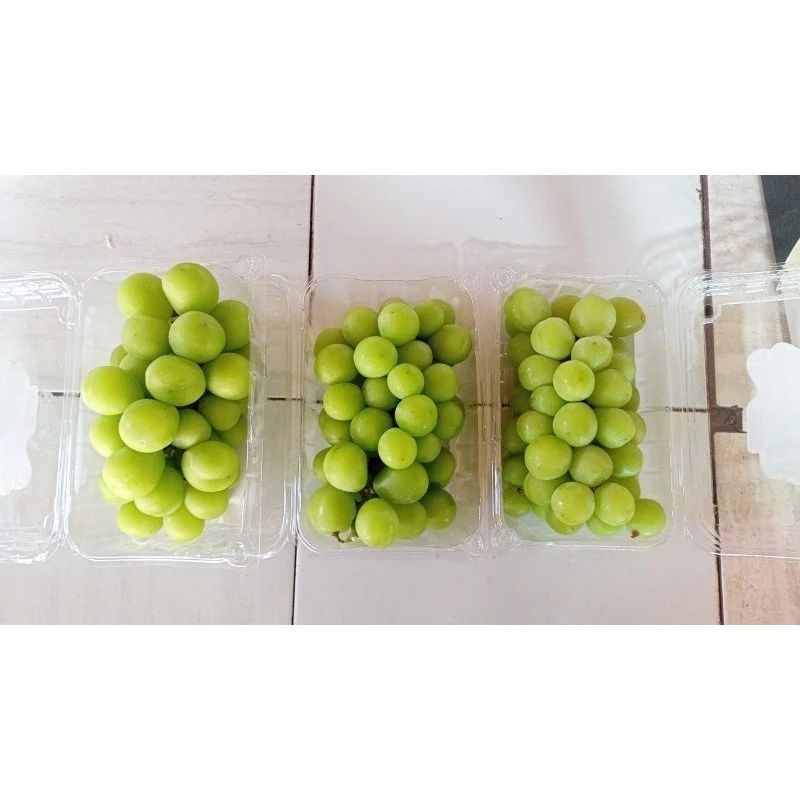 

Anggur hijau 500gram