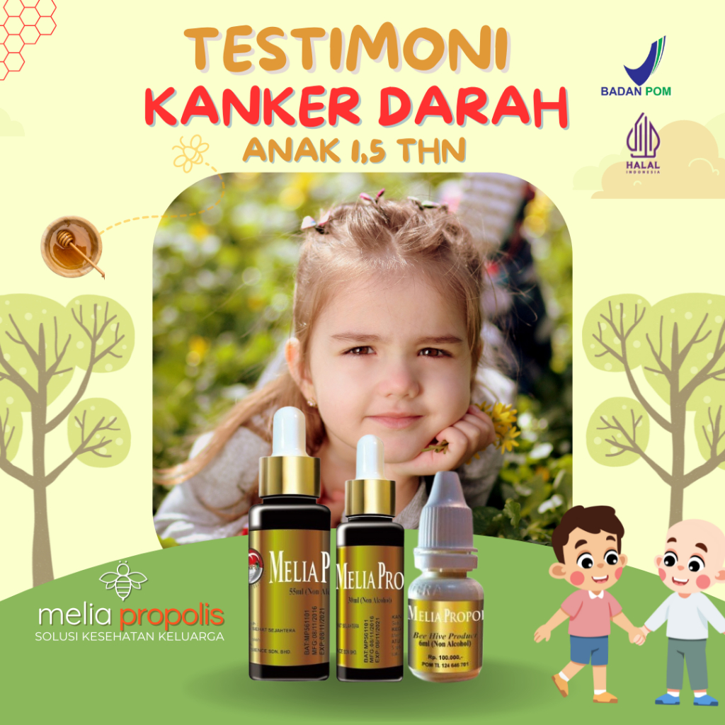 

Herbal Kanker Antibiotik Tradisional Melia Propolis Original 100% Asli Nutrisi Obat Stamina Imun Antioksidan