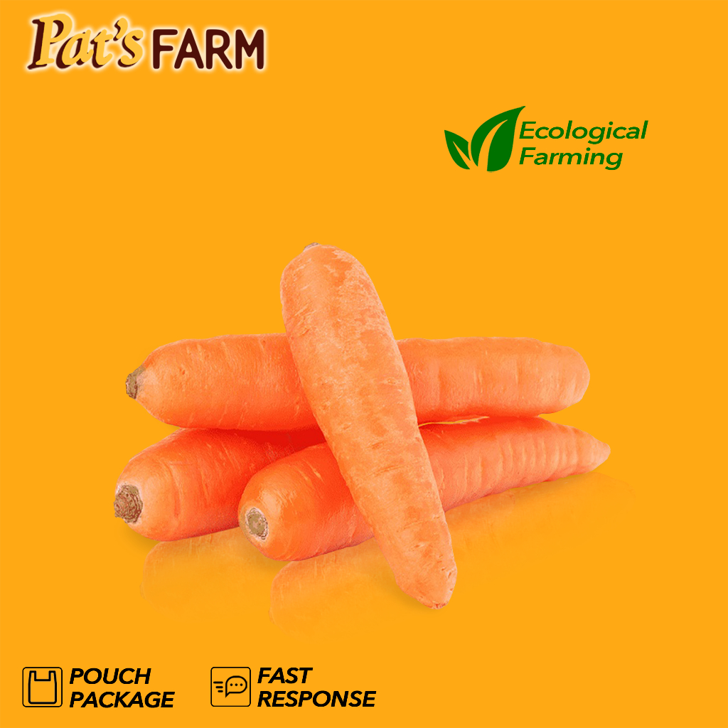 

Baby Carrot / Wortel Mini