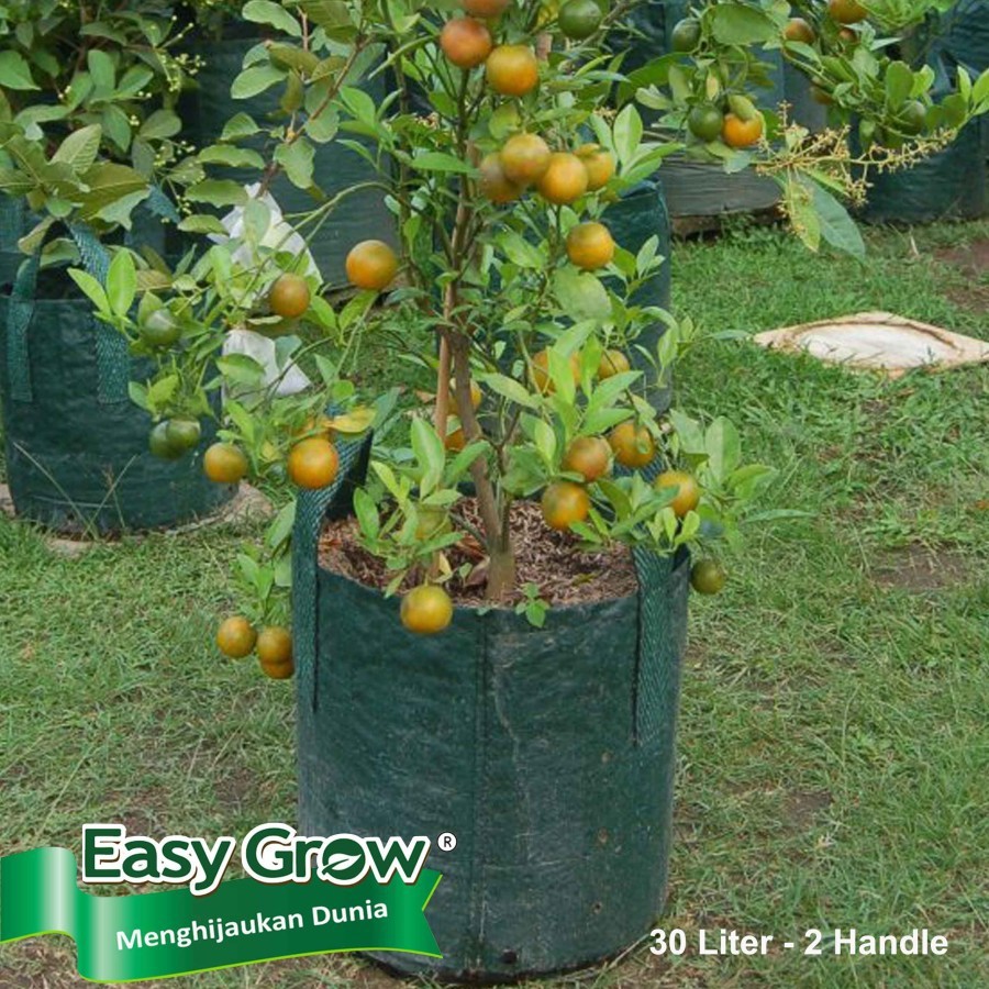 Easy Grow Planter Bag 30 Liter - Hijau - Pot Planter - Pot Tanaman