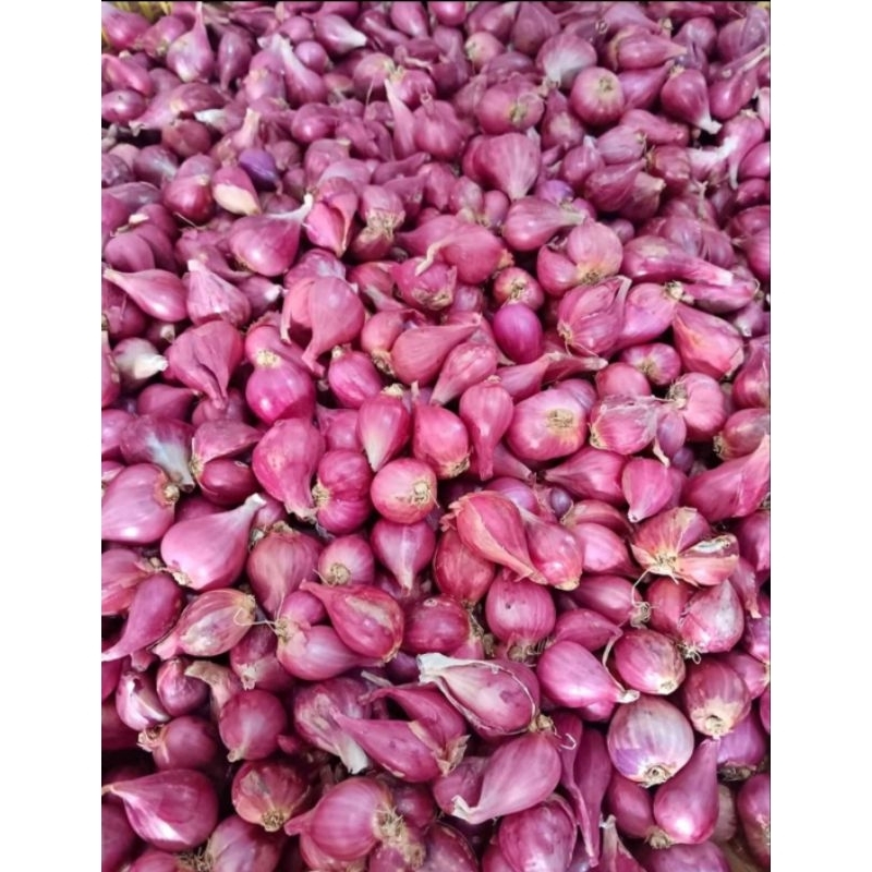 

BAWANG MERAH KECIL // Bawang Merah Brebes isi 1 kg // Bawang merah Brebes isi 500 Gram // Bawang merah isi 250 gram