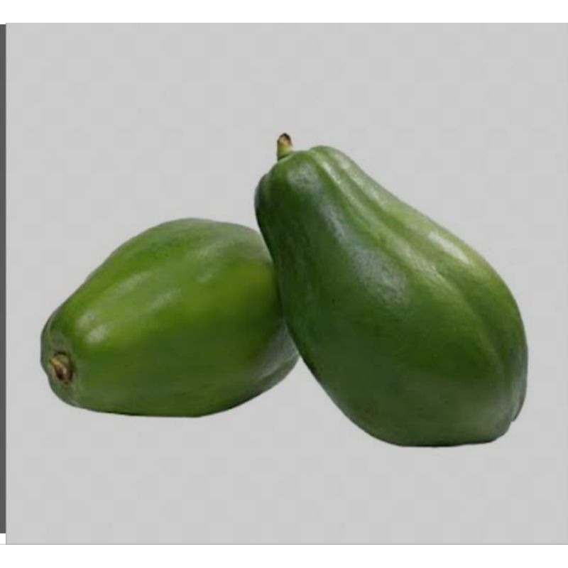 

Pepaya Muda
