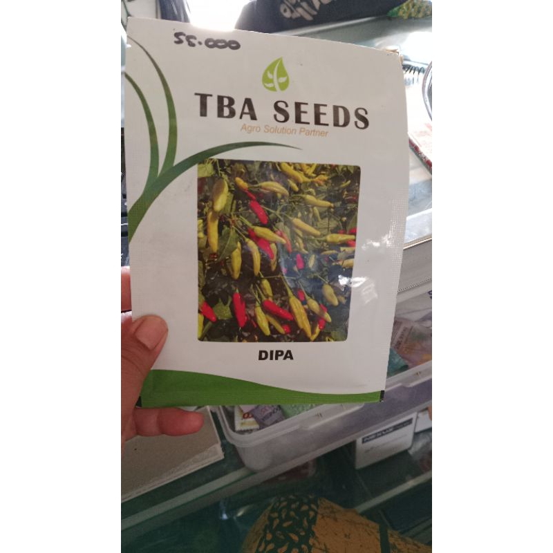 

cabai rawit putih dipa