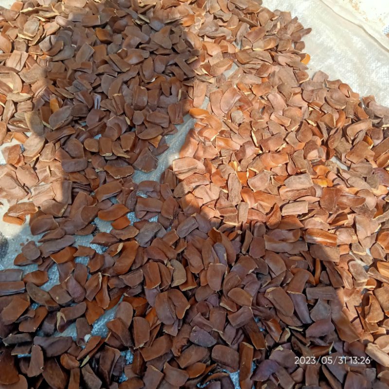 

New Biji Mahoni 1kg kering