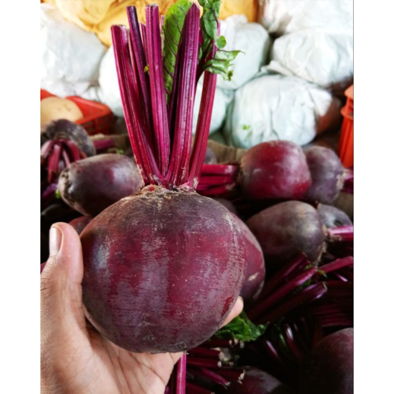 

Buah bit/bit kesehatan/bagus untuk Tubuh 1 Kg FRESH