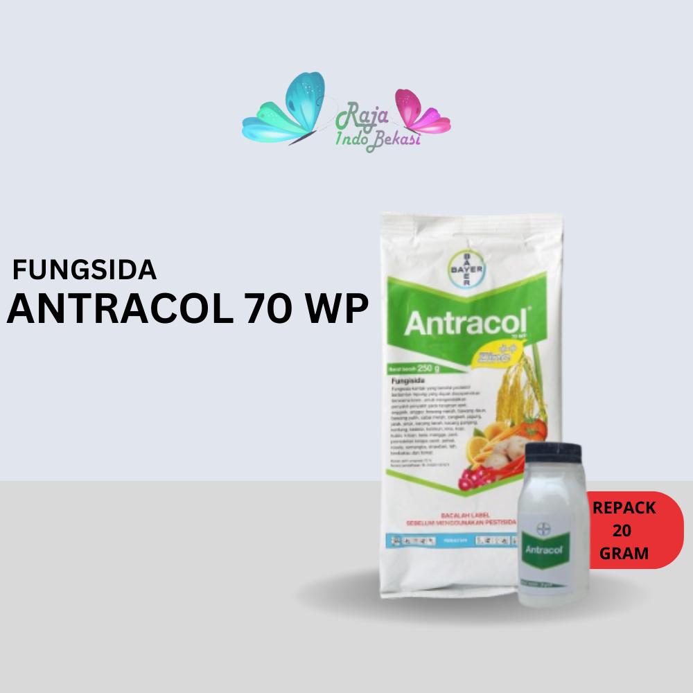 Antracol Fungisida Botol 20 Gram Fungisida Antracol 70wp Zinc 250 Gram Obat Anti Jamur Pada Tanaman 