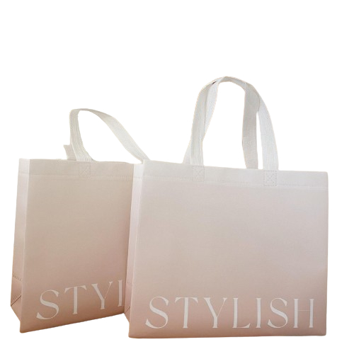 

Paper Bag Kain Aurora Stylish L Tas Gift Bag Go Green Ramah Lingkungan Goodiebag