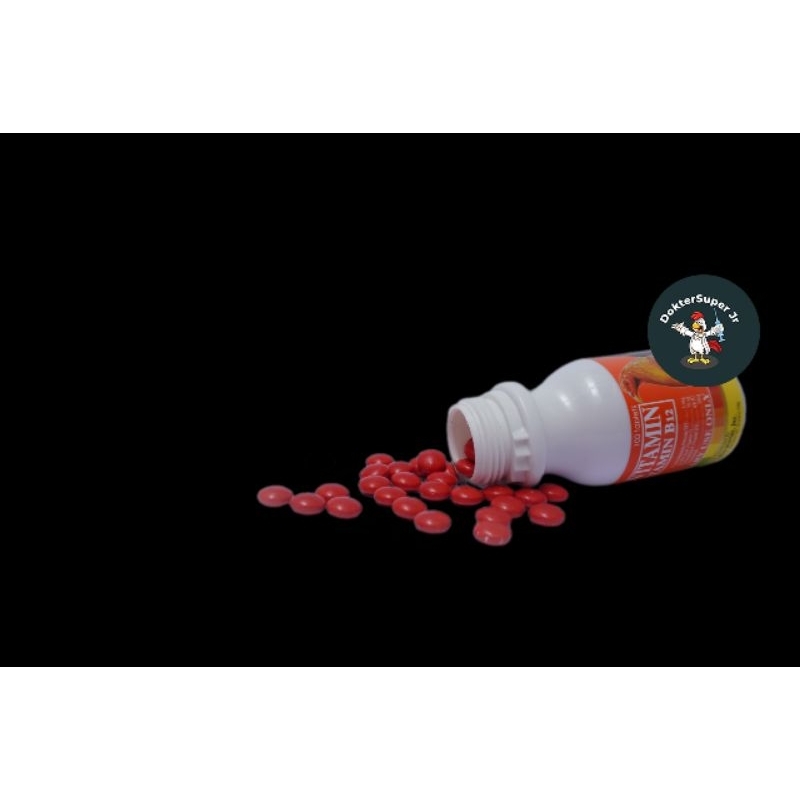 MULTIVITAMIN Ayam Filipina Champ 100 tablet