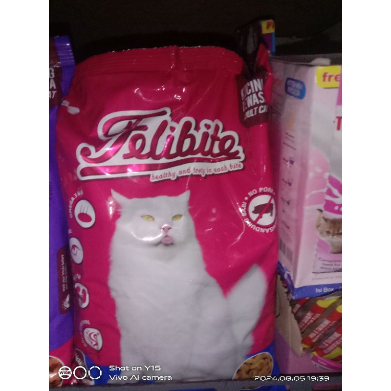 

filibite tuna ikan