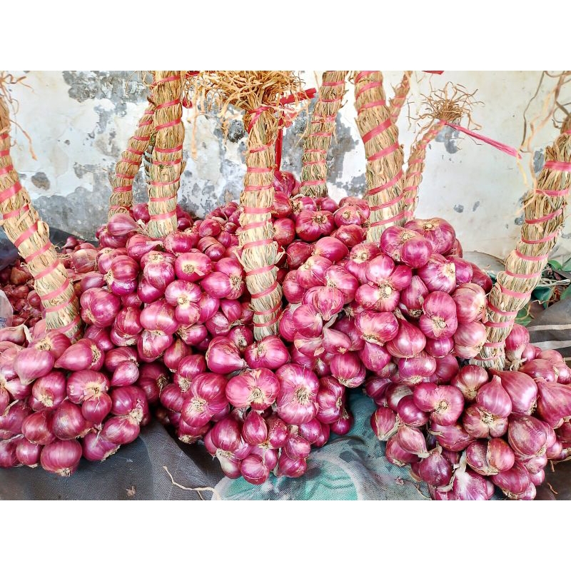 

bawang merah untingan super jumbo