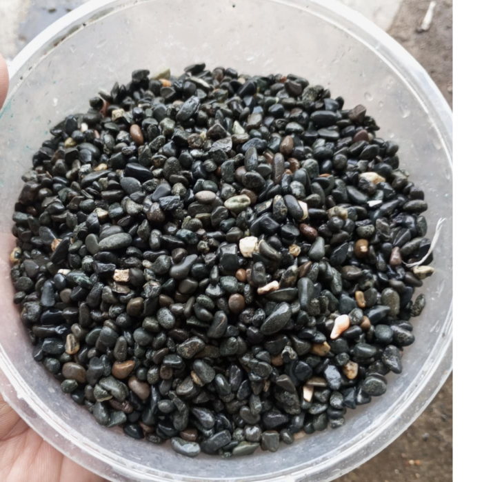 Batu Tanaman Hias Dan Aquarium Hias Black Bali Untuk Dekorasi 1kg