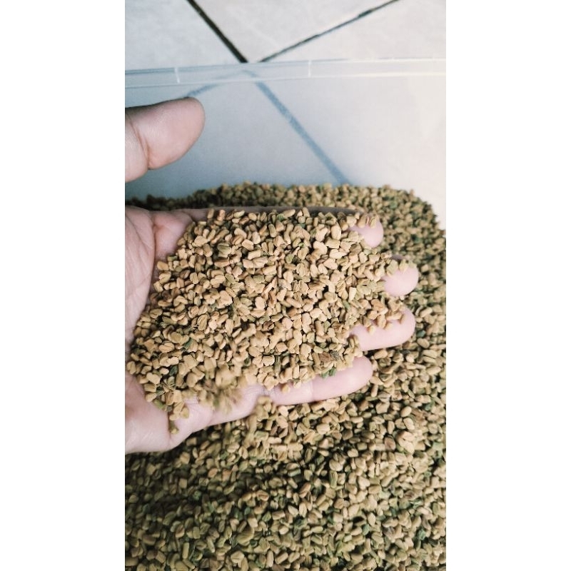 

kelabet /Alba 100 gram sangat bagus untuk kesehatan