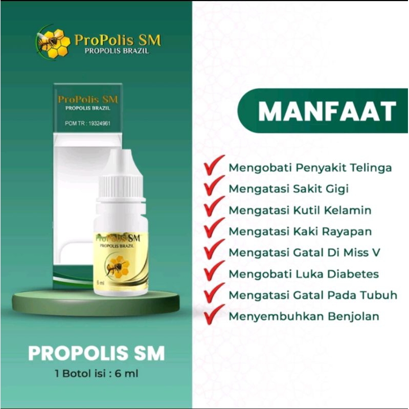 Propolis SM | Propolis Brazilian With Nano Teknologi