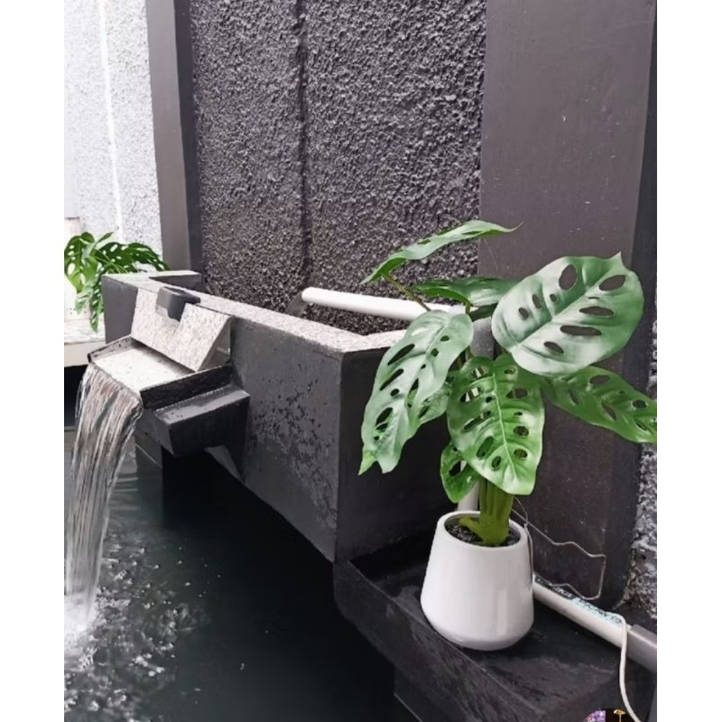 Informa tanaman artificial monstera