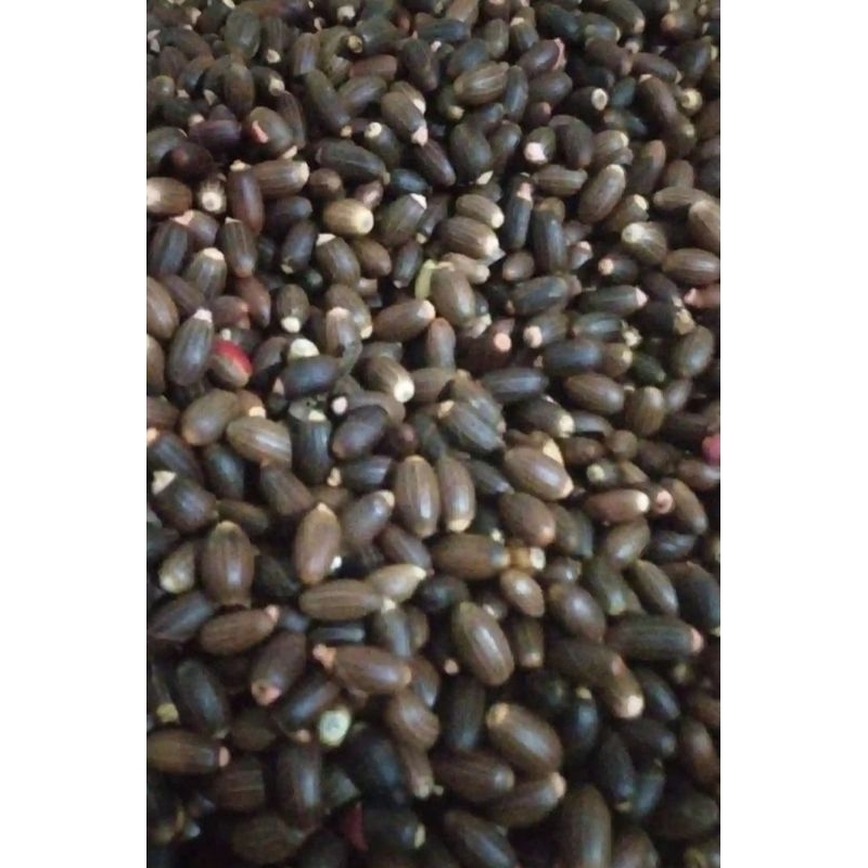 

Biji melinjo super bahan emping 1 kg