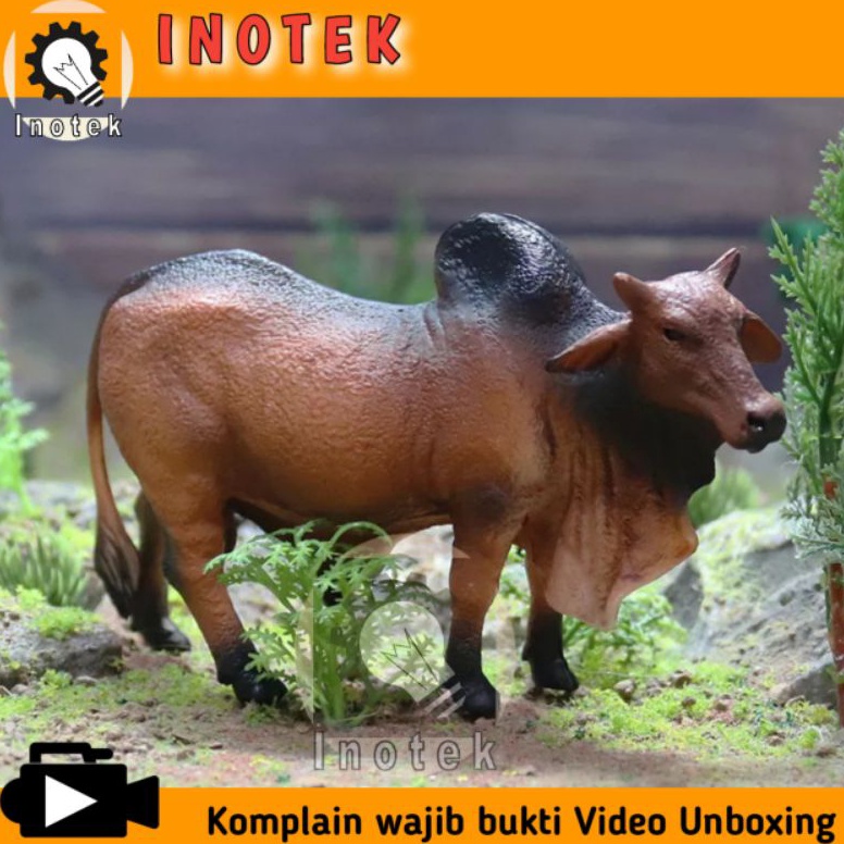 NEW  Mainan sapi berpunuk miniatur sapi hewan kurban Murah