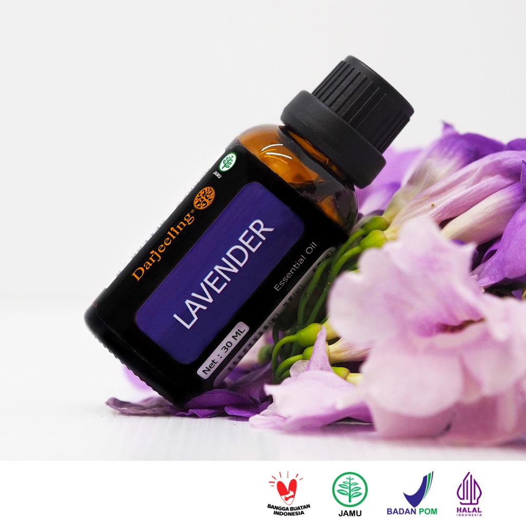 Darjeeling Lavender Essential Oil / Minyak Lavender Aromaterapi - 30ml