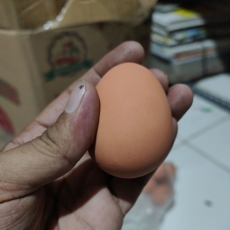 5 Pcs Bola Bekel Telor Jumbo Full Karet