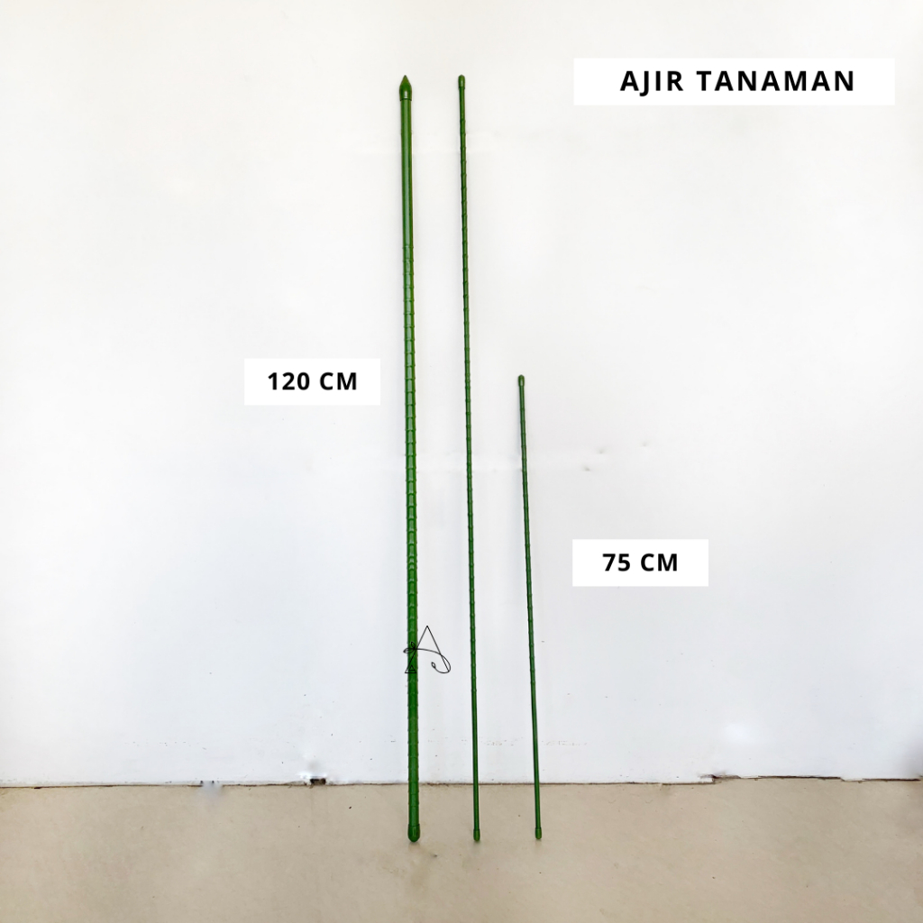 Ajir Tanaman (Plant Stake) | Penyangga Tanaman Rambat