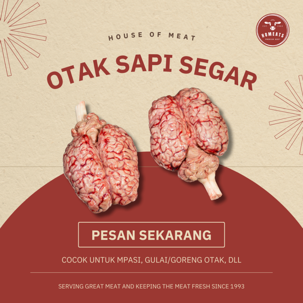 

Otak Sapi Segar Fresh Utuh Untuk Mpasi Gulai Goreng