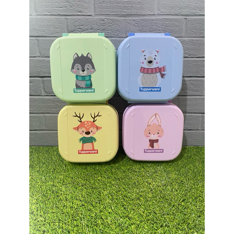 MINI/FANCY SIGNATURE LINE SET