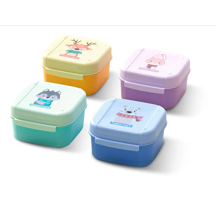 

Fancy Signature Ecer (1) / cutie box 450ml