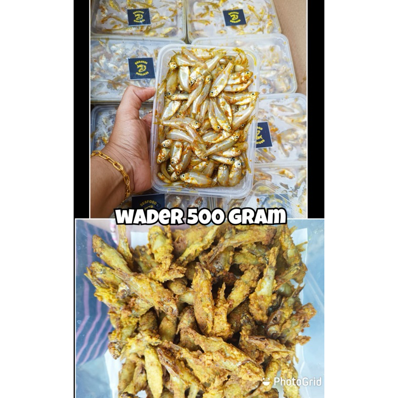 

IKAN WADER MARINASI 400 gram