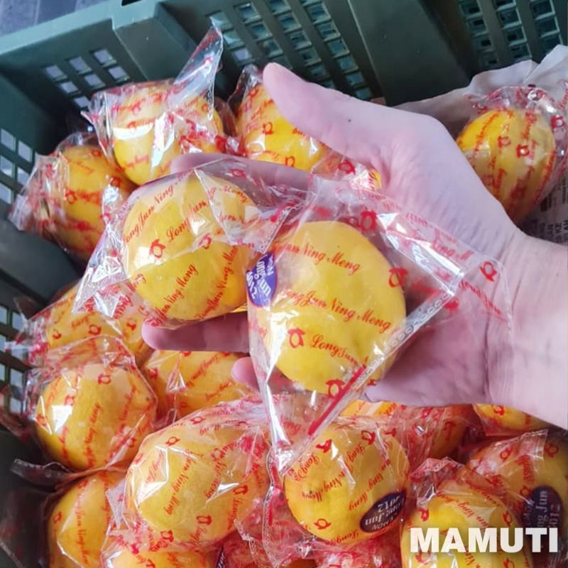 

Lemon California Import 500 Gram FRESH / Untuk Diet / Kualitas Terbaik