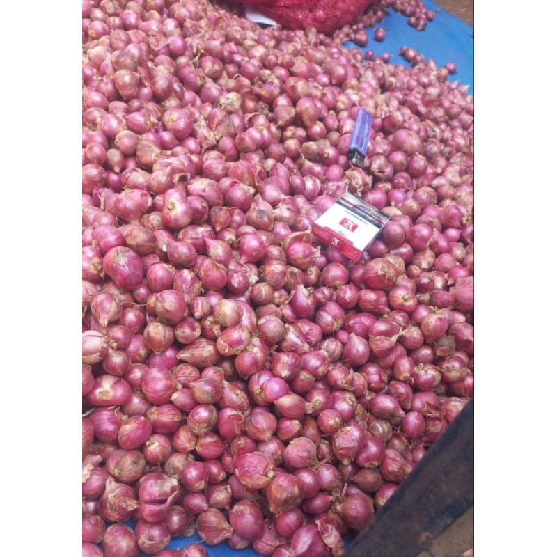 

BRAMBANG BIMA SUPER 1KG