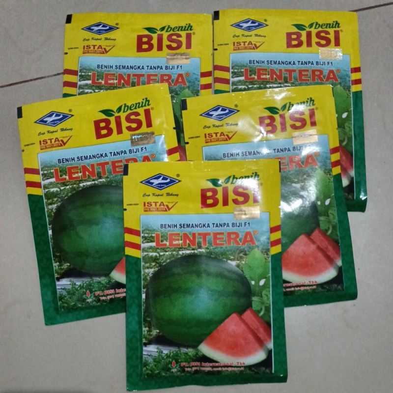 Benih semangka non biji Lentera (20 gram)