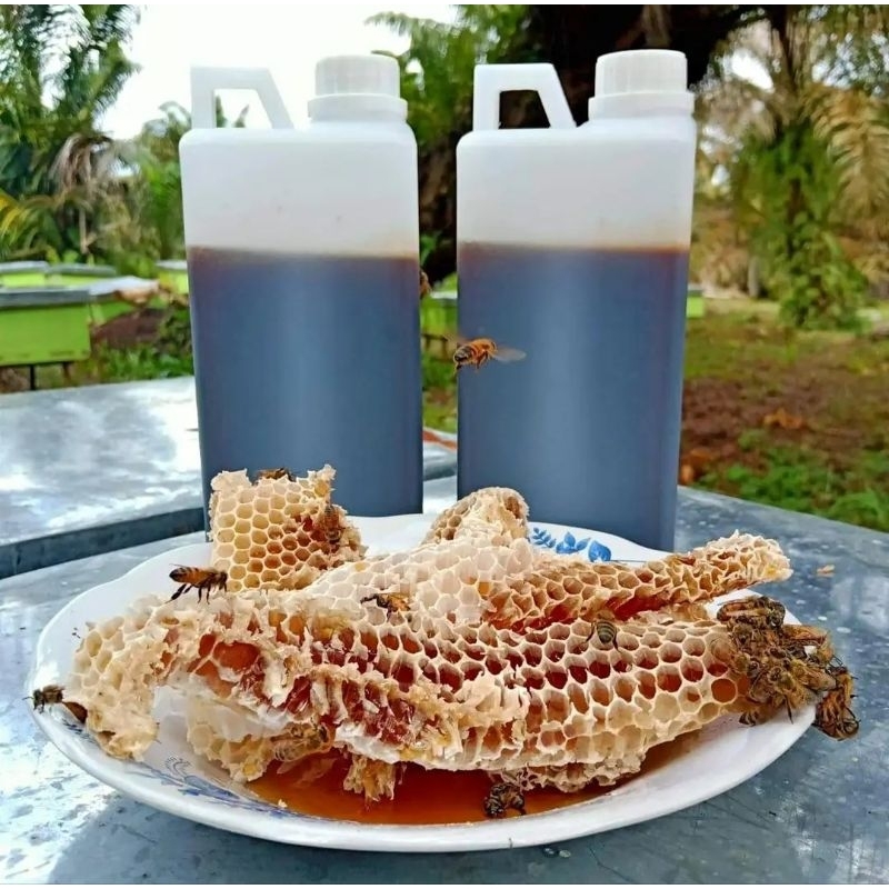 

madu murni full nektar akasia carpa riau 1kg