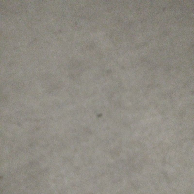 varsity mlb satin royals