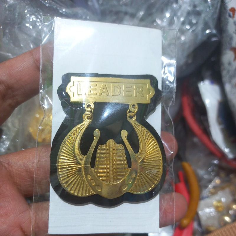 wing leader brivet leader