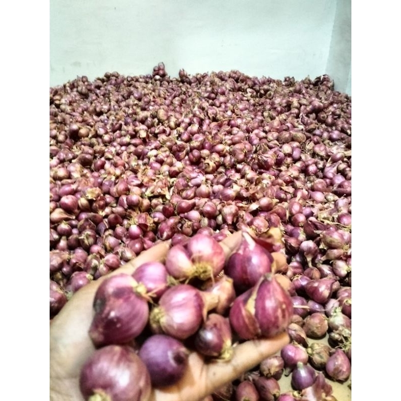 

Bawang merah CAMPUR 500 gram .habis