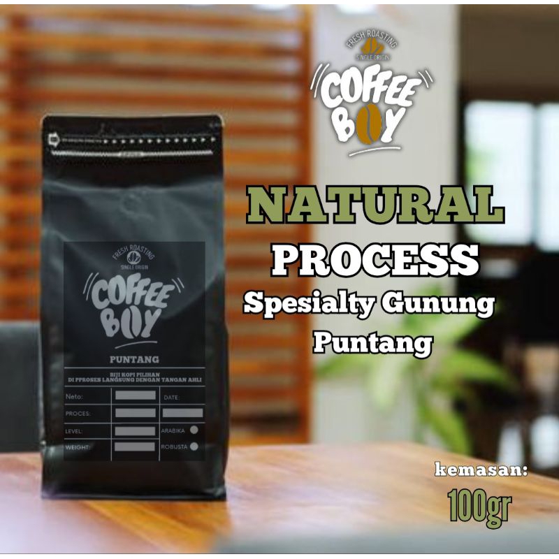 

NATURAL PROCESS SPECIALTY GUNUNG PUNTANG KEMASAN 100gr